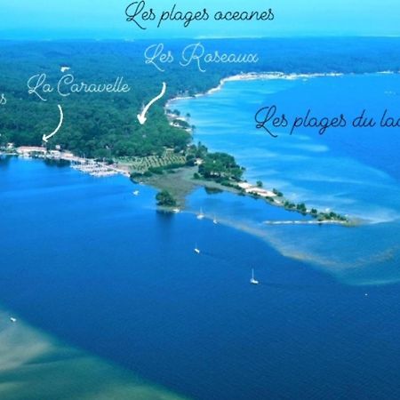 Studio Mansarde Climatise Les Roseaux Bord De Lac Biscarrosse Exterior photo