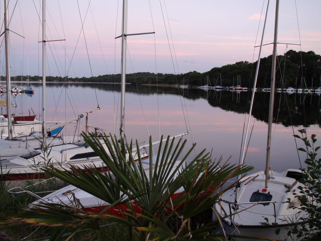 Studio Mansarde Climatise Les Roseaux Bord De Lac Biscarrosse Exterior photo