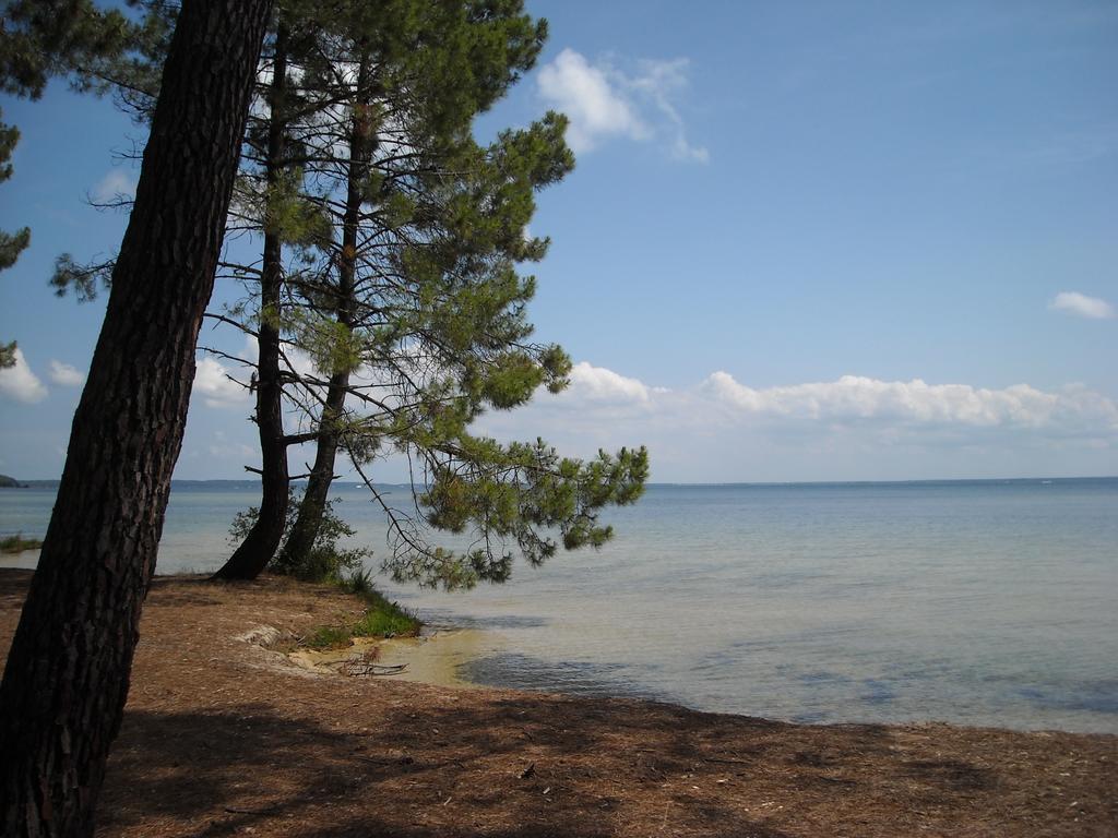 Studio Mansarde Climatise Les Roseaux Bord De Lac Biscarrosse Exterior photo