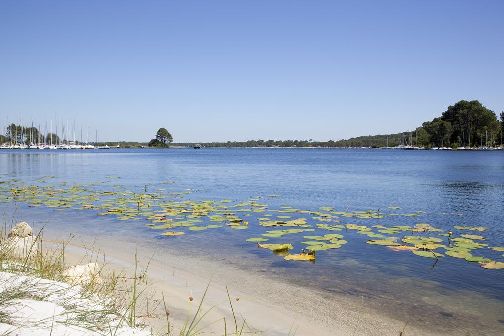 Studio Mansarde Climatise Les Roseaux Bord De Lac Biscarrosse Exterior photo