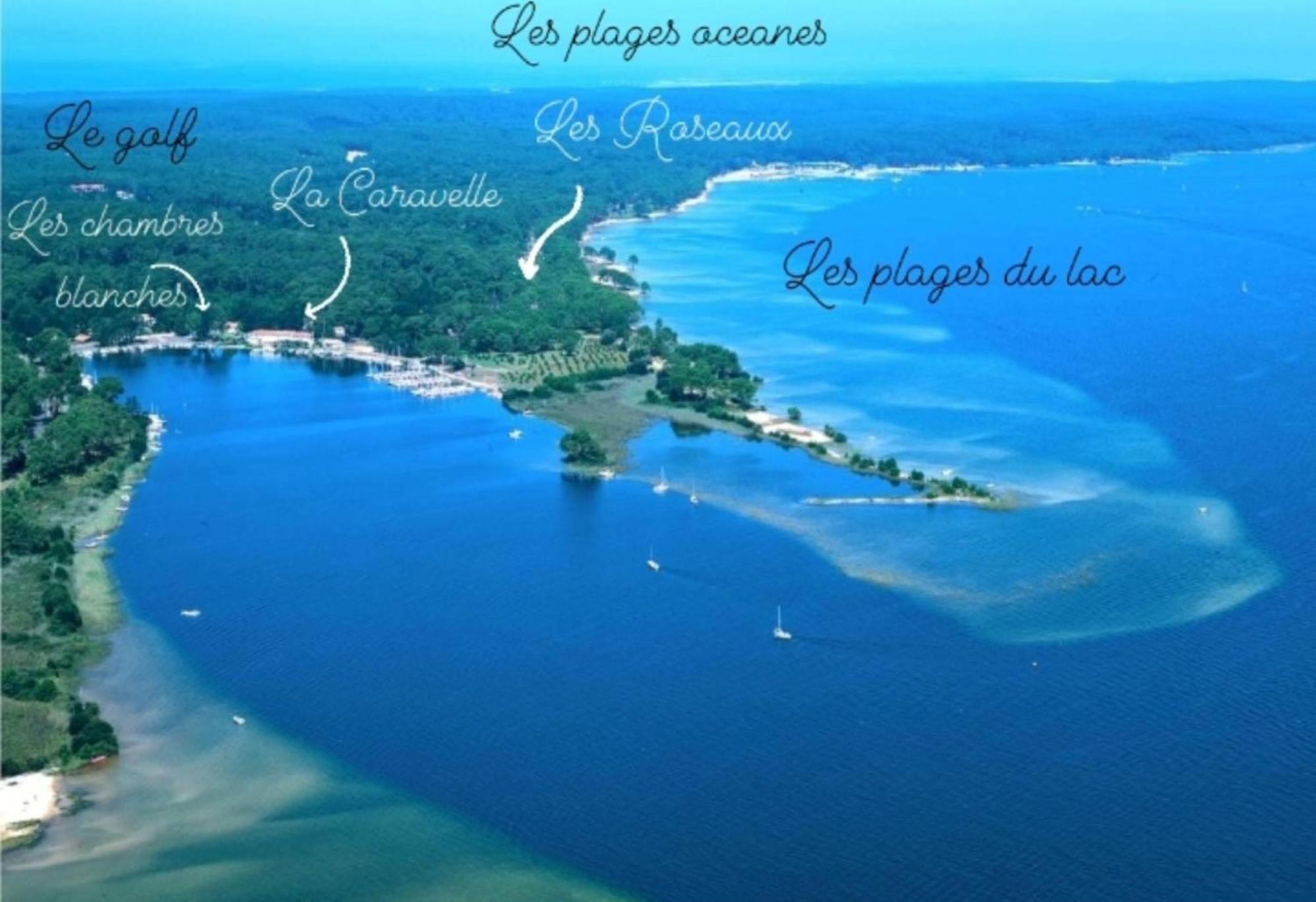 Studio Mansarde Climatise Les Roseaux Bord De Lac Biscarrosse Exterior photo