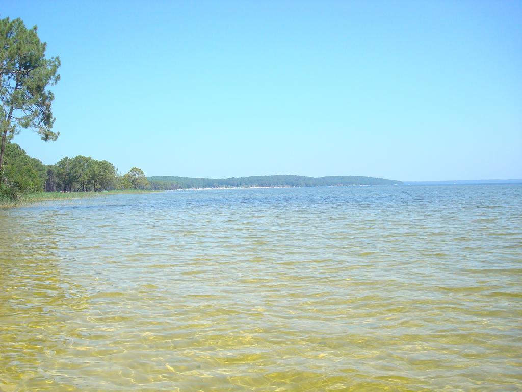 Studio Mansarde Climatise Les Roseaux Bord De Lac Biscarrosse Exterior photo
