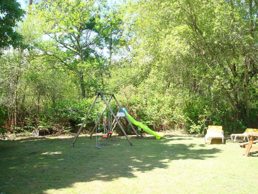 Studio Mansarde Climatise Les Roseaux Bord De Lac Biscarrosse Exterior photo