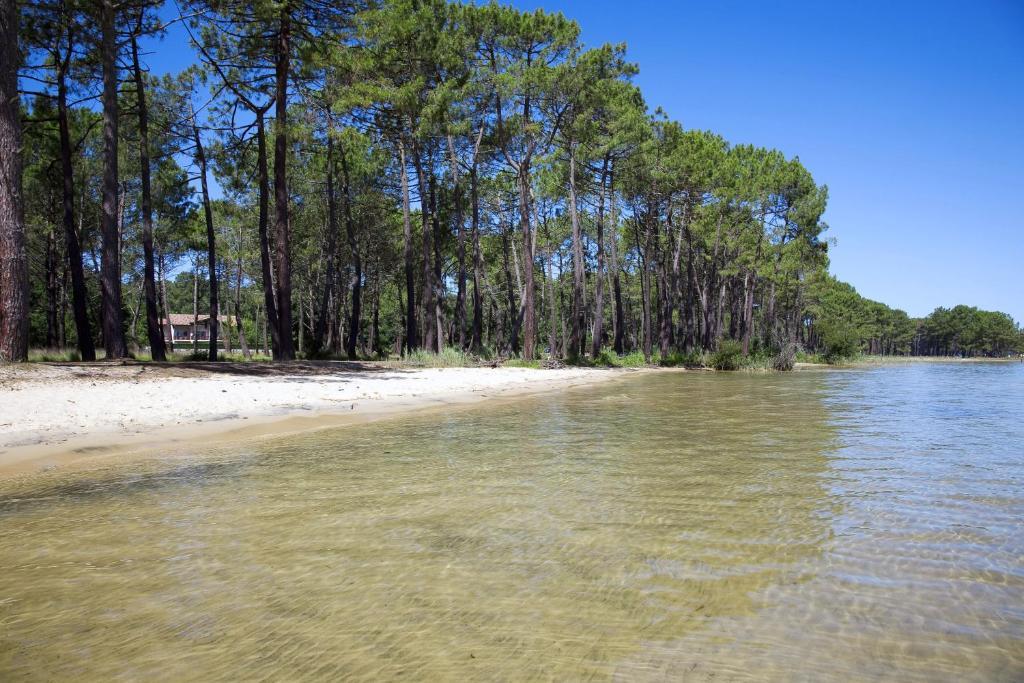 Studio Mansarde Climatise Les Roseaux Bord De Lac Biscarrosse Exterior photo