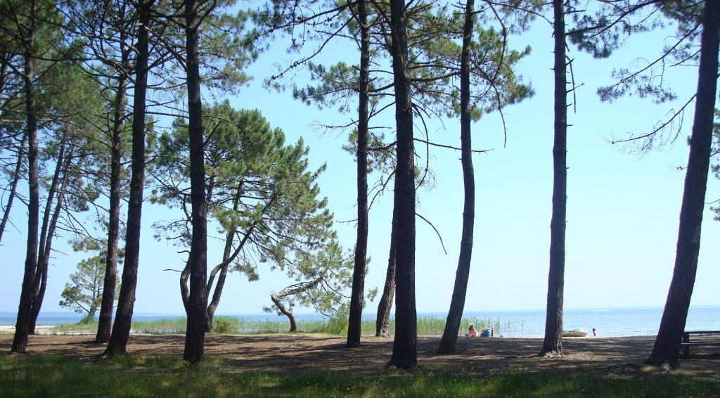 Studio Mansarde Climatise Les Roseaux Bord De Lac Biscarrosse Exterior photo